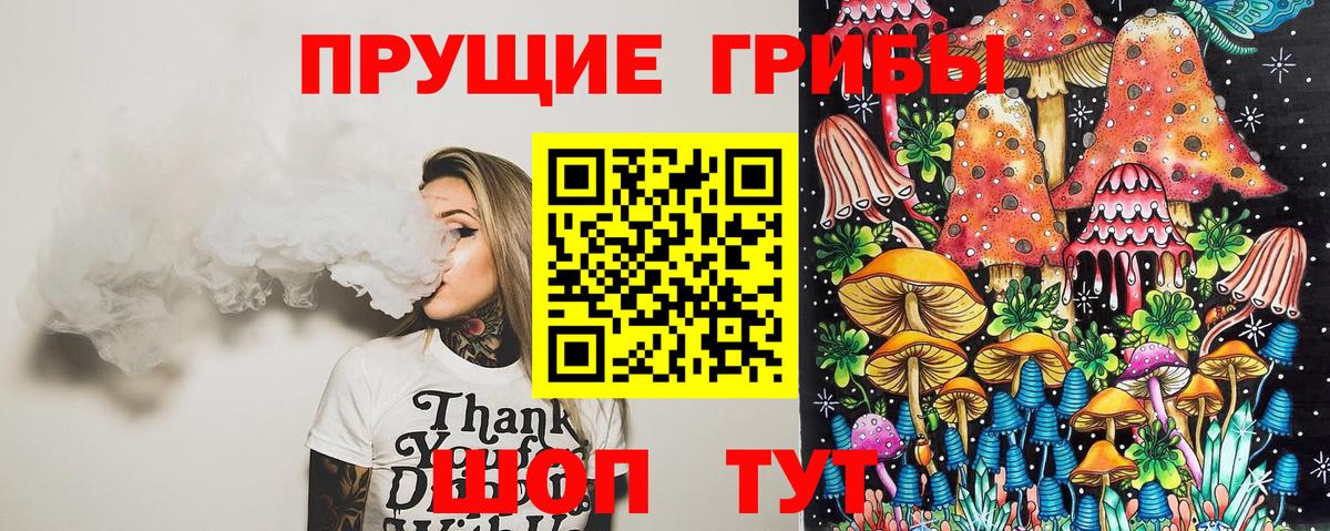Галлюциногенные грибы Psilocybe Верхний Уфалей