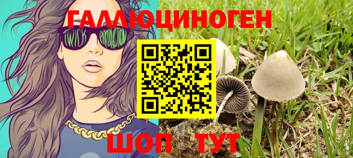 Верхний Уфалей  Псилоцибиновые грибы мицелий  Вход с VPN 